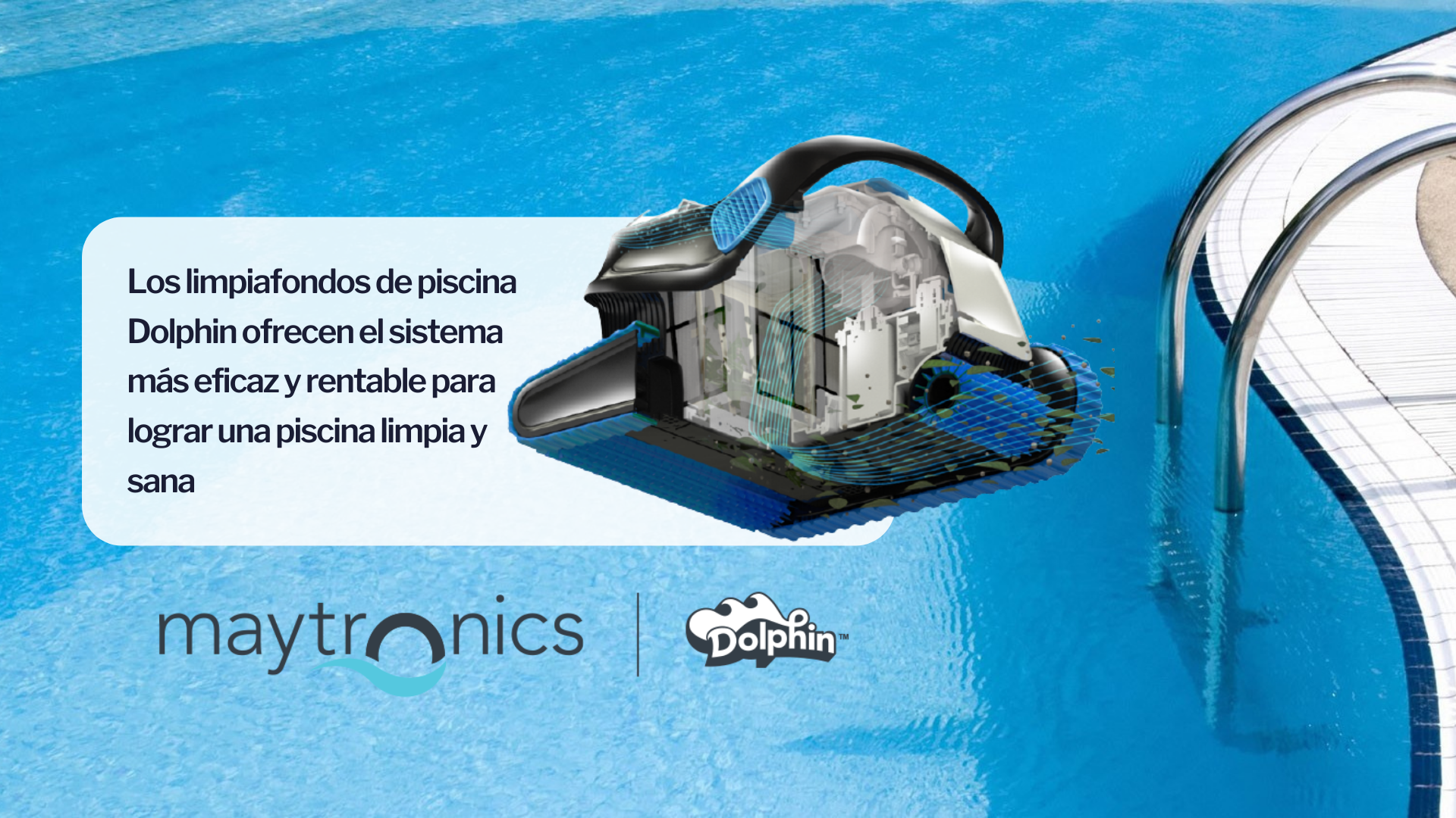 Maytronics Dolphin Robots